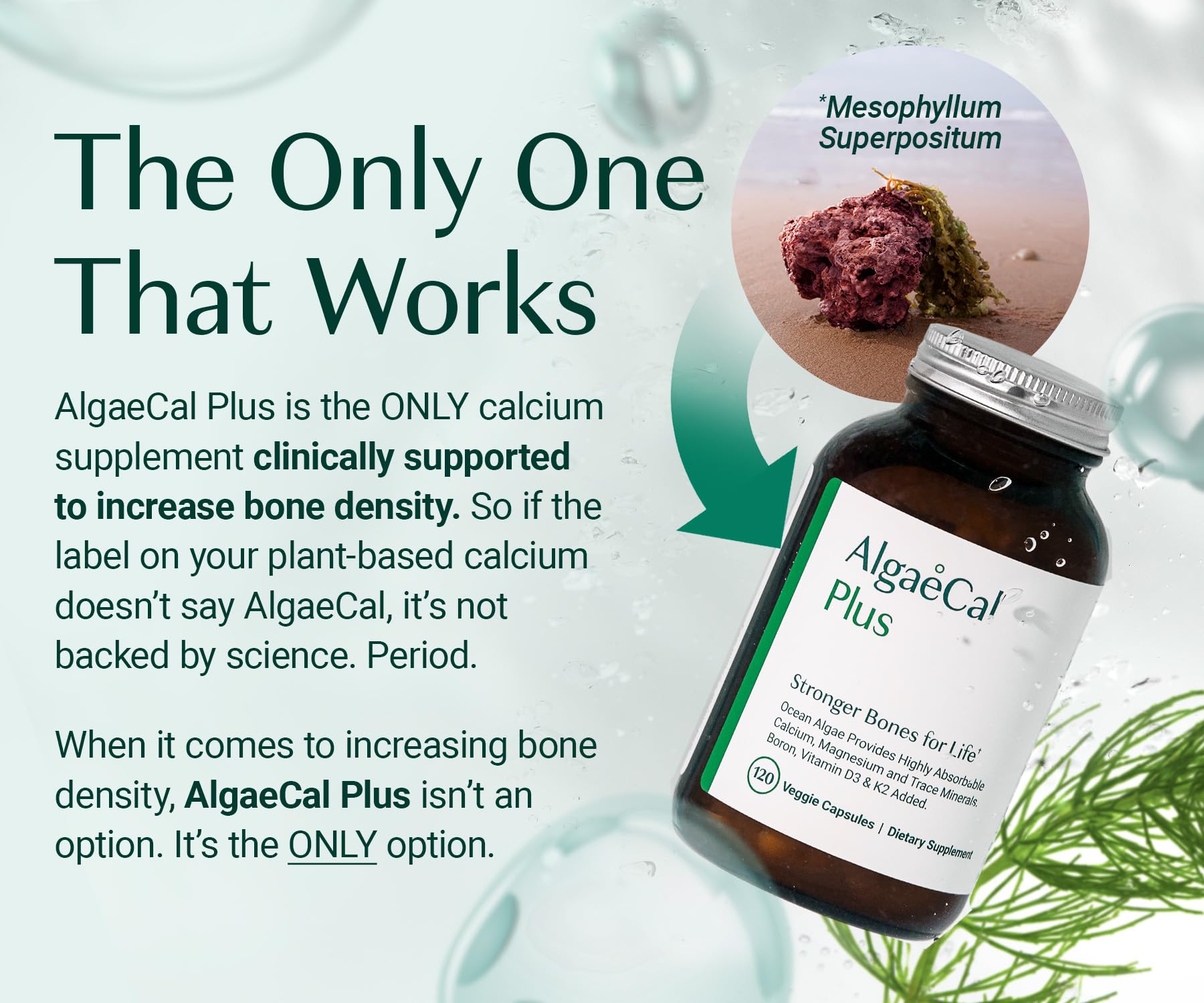 ALGAECAL Organic Red Algae Calcium Supplement for Bone Density, Vitamin K2 MK7 (100mg), Vitamin D3 (1600 IU), Magnesium (350mg) & Trace Minerals & Strength, Easy to Swallow, 120 Veggie Caps