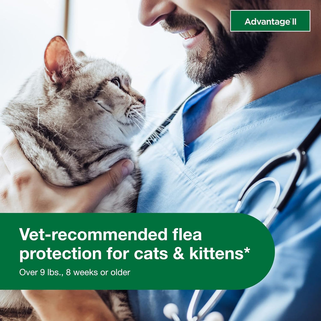 Advantage II Large Cat Flea Treatment & Prevention – Vet Recommended | For Cats Over 9 lbs | 6-Month Supply